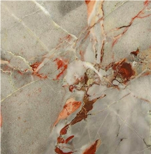 Sarrancolin Versailles Marble Tile