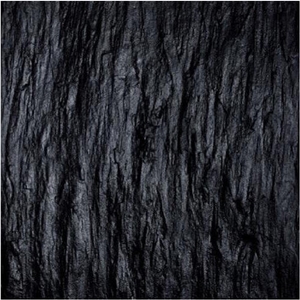 Schist Clive