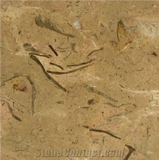 Sea Brown Limestone importance=