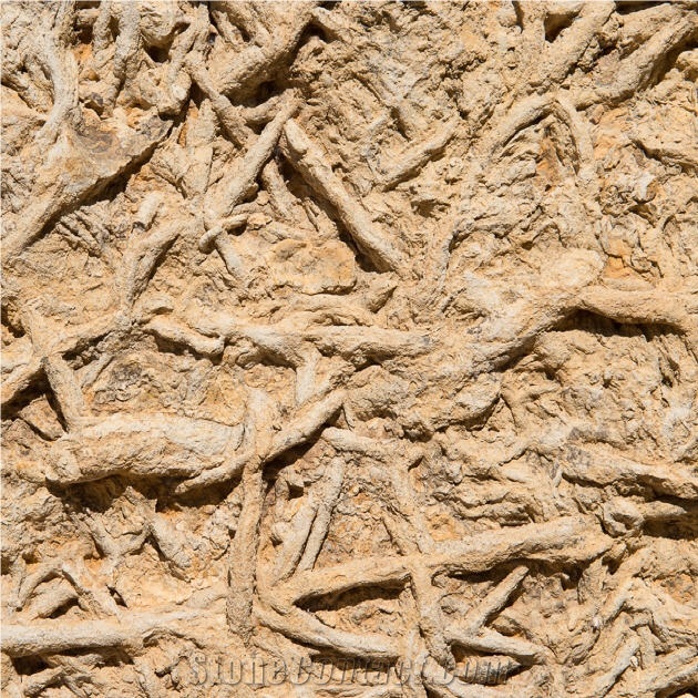Sea Trace Limestone importance=
