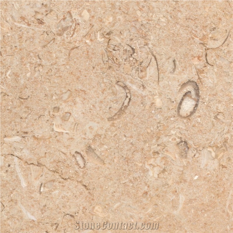 Seabed Gold Limestone Tile