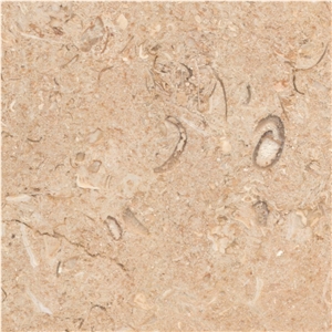 Seabed Gold Limestone Tile