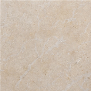 Seashell Limestone Tile
