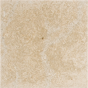Seashell Limestone Tile