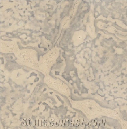 Selgase Grey Limestone importance=