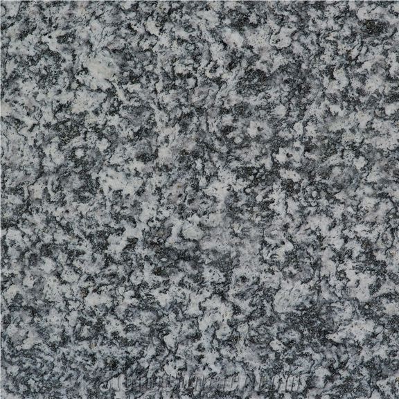 Serizzo Formazza Tile