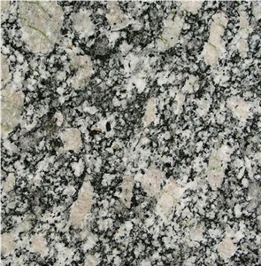 Serizzo Ghiandone Tile