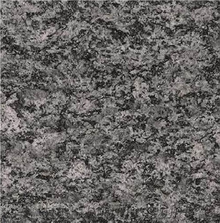 Serizzo Scuro Valmasino Tile