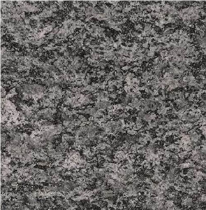 Serizzo Scuro Valmasino Tile
