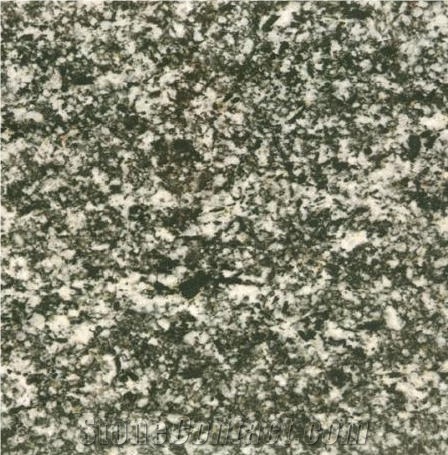 Serizzo Scuro Valmasino Tile