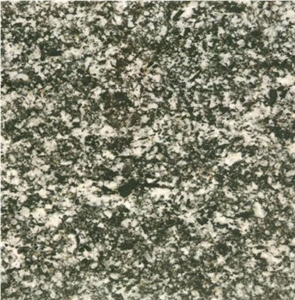 Serizzo Scuro Valmasino Tile