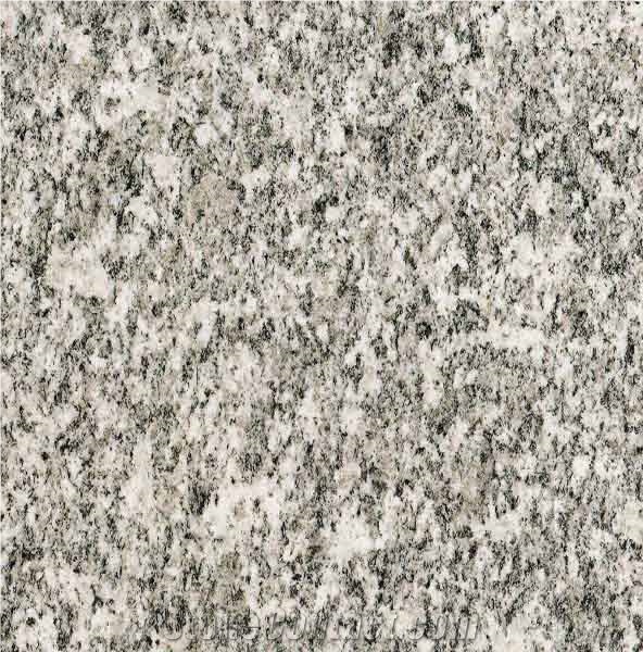 Serizzo Sempione Tile