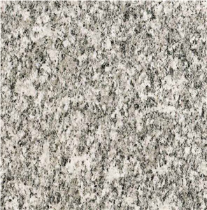 Serizzo Sempione Tile