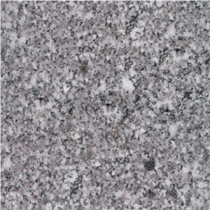 Sesame Flower Granite