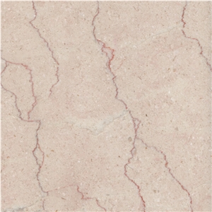 Shell Beige