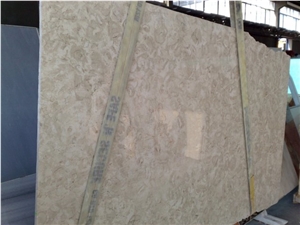 Shells Reef Beige Limestone Slab