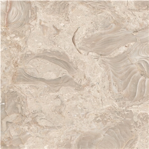 Shells Reef Beige Limestone Tile
