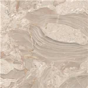 Shells Reef Beige Limestone Tile