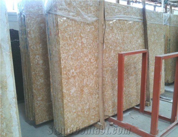 Shells Reef Gold Limestone Slab
