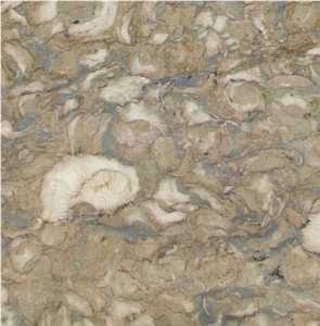 Shells Reef Green Limestone