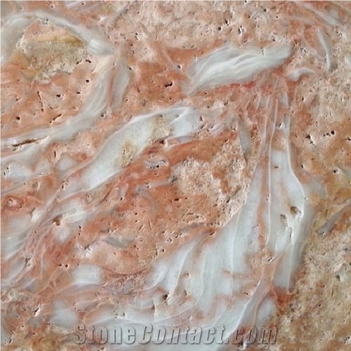 Shells Reef Pink Limestone Tile