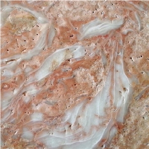 Shells Reef Pink Limestone Tile