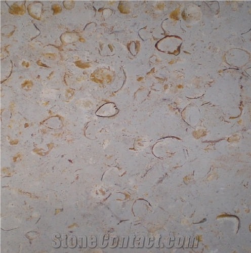 Shellstone Bulgaria importance=