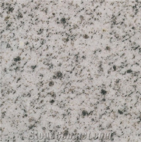 Shiyang Sesame White Granite importance=