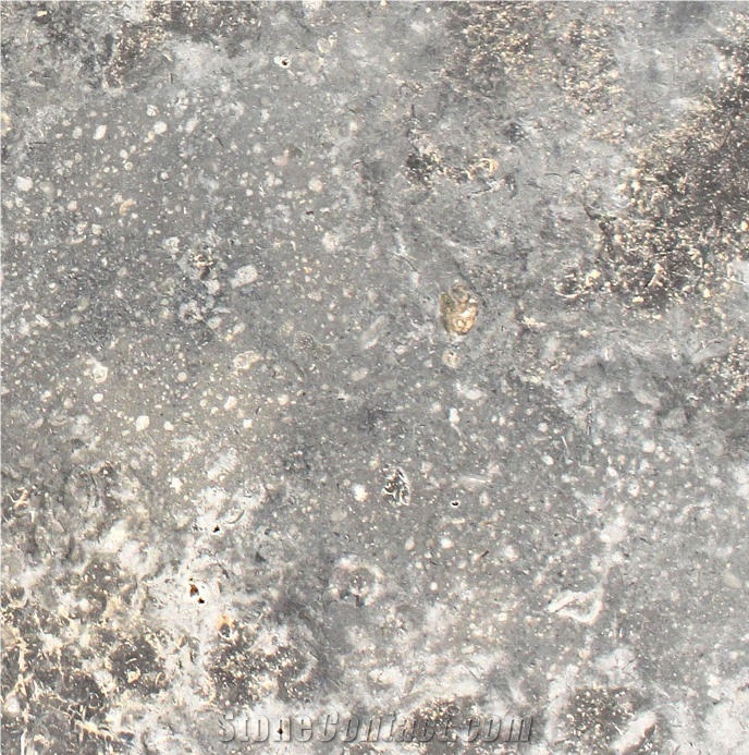 Sicilia Brown Limestone importance=