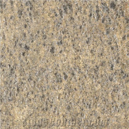 Silber Gneiss importance=
