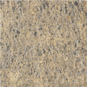 Silber Gneiss
