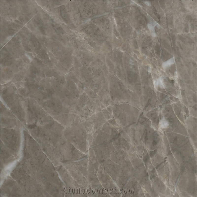 Silver Beige Marble importance=