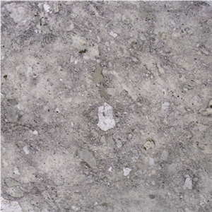 Silver Fox Limestone
