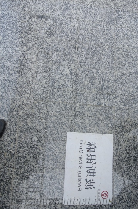 Silver Grain Granite Slab