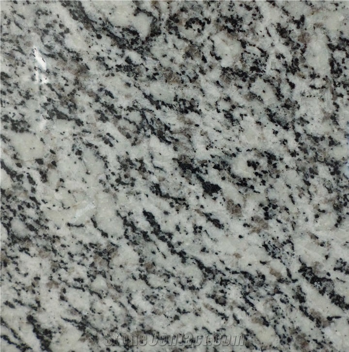 Silver Grain Granite importance=