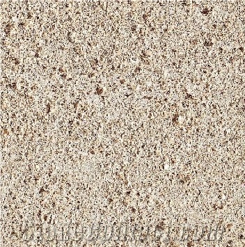 Sireuil Limestone importance=