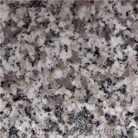 Snow Grey Granite importance=
