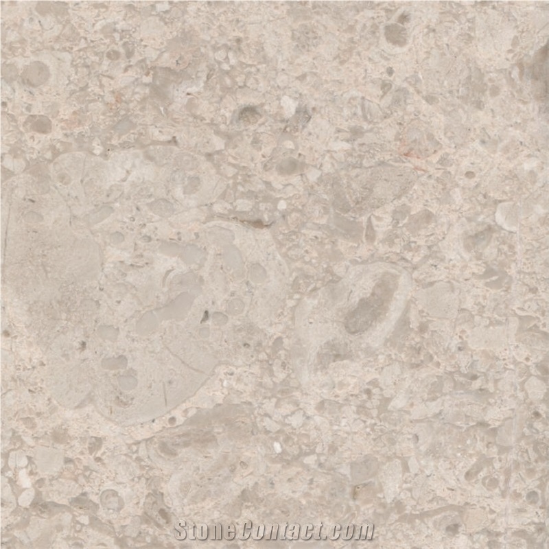 Snow Pearl Marble importance=