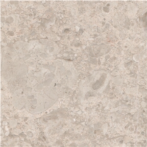 Snow Pearl Marble