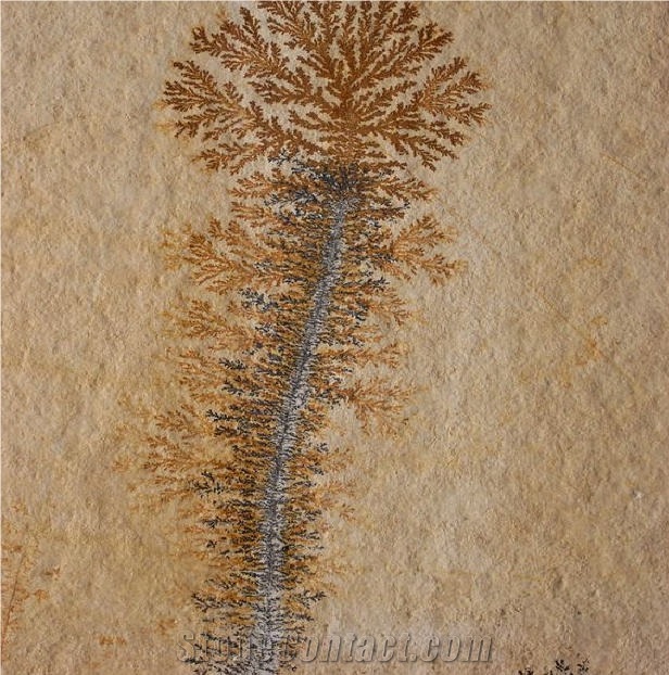 Solnhofen Stone Tile