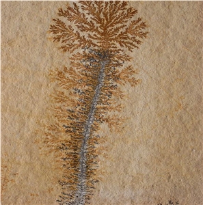 Solnhofen Stone Tile