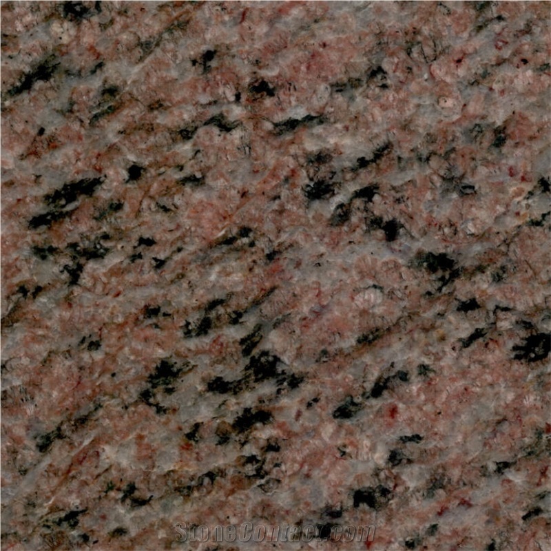 Special Brown Granite importance=