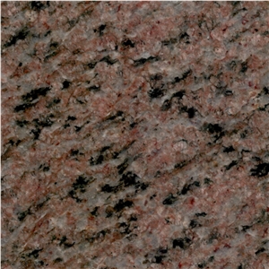 Special Brown Granite