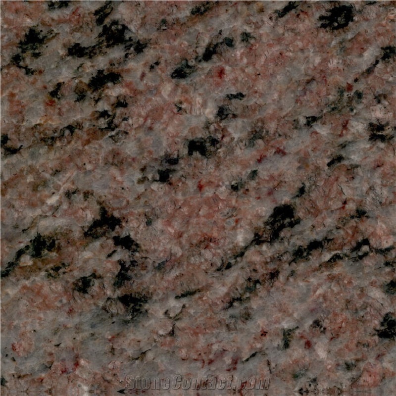 Special Brown Granite Tile