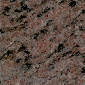 Special Brown Granite Tile