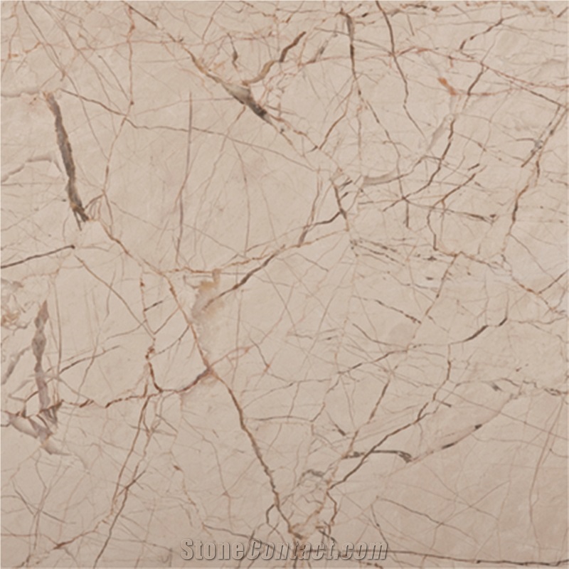 Spider Beige Marble importance=