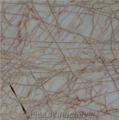 Spider Golden Marble importance=