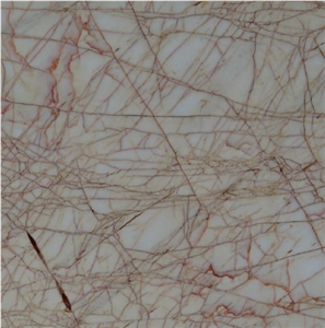 Spider Golden Marble