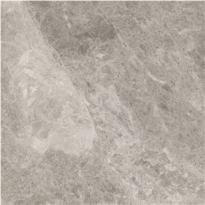 Spider Gray