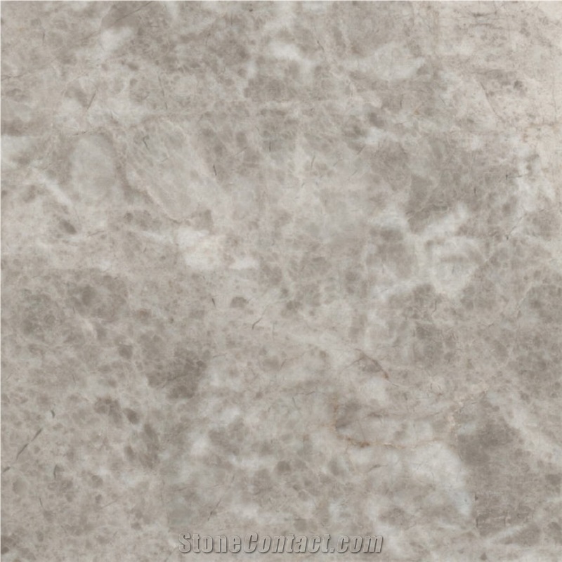 Spider Gray Tile